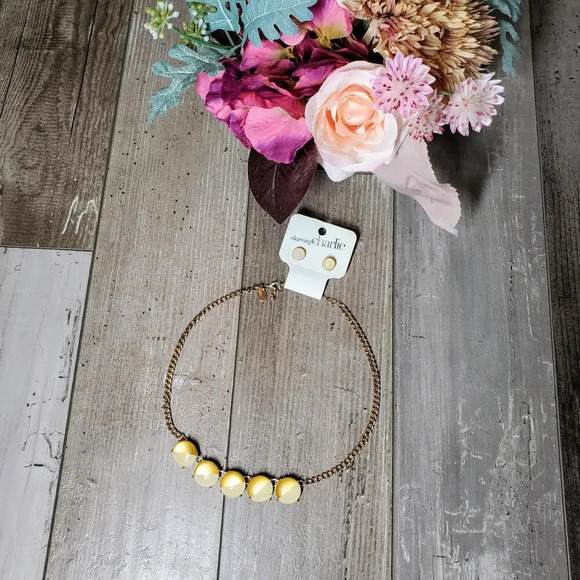 NWT Charming Charlie Women's Fashion Jewelry Set - Picture 14 of 14